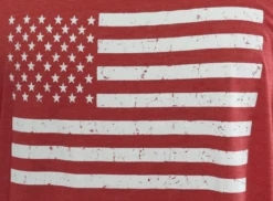 American Flag Short Sleeve Printed Tee Shirt 3 Colors 2X, 3X, 4X -Fanatics Shop AmFlagTHthrRed 60676.1683309670