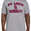 Fanatics MLB Saint Louis Cardinals Heather Gray Short Sleeve Tee Shirt 5XT -Fanatics Shop Cardinalstee 98179.1695401027