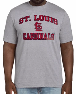Fanatics MLB Saint Louis Cardinals Heather Gray Short Sleeve Tee Shirt 5XT