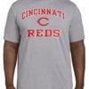 Fanatics MLB Cincinnati Reds Heather Gray Short Sleeve Tee Shirt 5XT