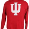 Champion IU Hoosiers Crimson Pullover Hoodie XLT, 2X, 2XT, 3X, 3XT -Fanatics Shop IUhoodie 25057.1683222970