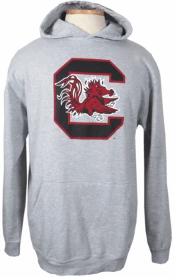 Champion South Carolina Gamecocks Heather Gray Pullover Hoodie 2XT, 3X