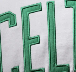 Fanatics Boston Celtics Colorblock Wordmark Pullover Hoodie 2X -Fanatics Shop celticspodetail 84406.1714505294