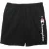 Champion Script Logo Fleece Shorts 2 Colors 3XT