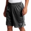 Champion Side Stripe Mesh Shorts 2 Colors LT, XLT -Fanatics Shop chmeshstripshrtchar 48664 84214.1712338096