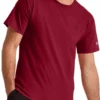 Champion Classic Cranberry No Pocket Tee Shirt XLT, 2X, 3X -Fanatics Shop cranberrynopocket 01976.1707856152