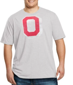 Profile Ohio State Vintage Logo Heather Gray Tee 2X, 5X