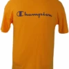 Champion Classic Script Logo Lightweight Yellow Short Sleeve Tee 1X, 2X -Fanatics Shop yellowsstee 07586.1707932940